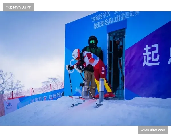 今天哈尔滨有什么赛事,哈尔滨赛事活动