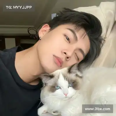 凤万宇